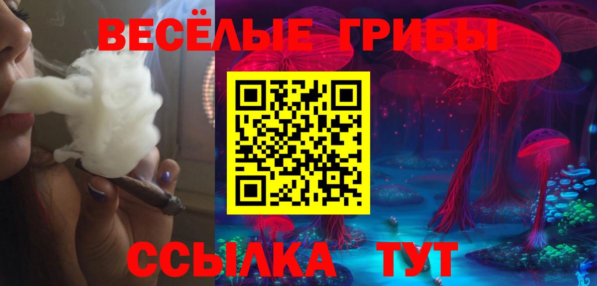 Галлюциногенные грибы прущие грибы  наркотики  Тобольск  Псилоцибиновые грибы Psilocybine cubensis  Вход с VPN 